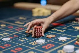 zv777com Pakistan Casino lobby